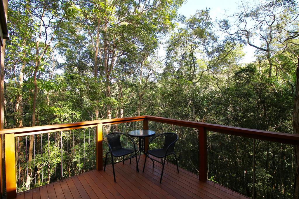 Kondalilla Eco Resort Montville Exterior photo