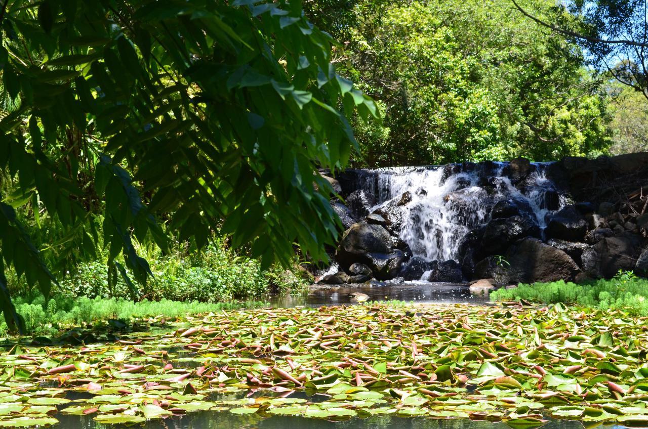 Kondalilla Eco Resort Montville Exterior photo